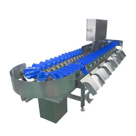 Shrimp Sorting Machine Automated Shrimp Sorting Seafood Sorting Machine Efficient Shrimp Sorter Precision Shrimp Sorting MenT Shrimp Sorting Machine High-Speed Shrimp Sorting Automated Seafood Sorting Advanced Shrimp Sorting